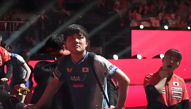 leisu-波兰队力克英格兰队，张本智和带队取胜